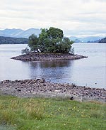loch-awe-4-2-s.jpg - 8475 Bytes